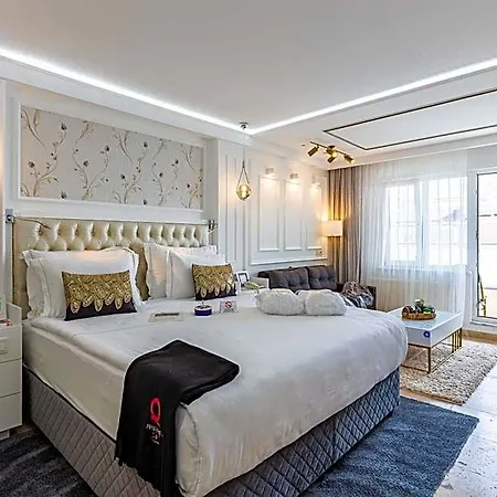 Sadaret Hotel-old Sultanahmet 伊斯坦布尔
